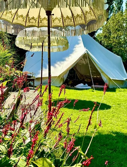 3-dagars guidad psilocybinretreat i naturen (Nederländerna)