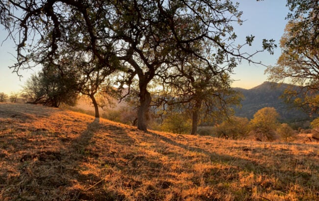 4 dagars nymåneskådning / tyst yoga-, pranayama- och meditationsretreat