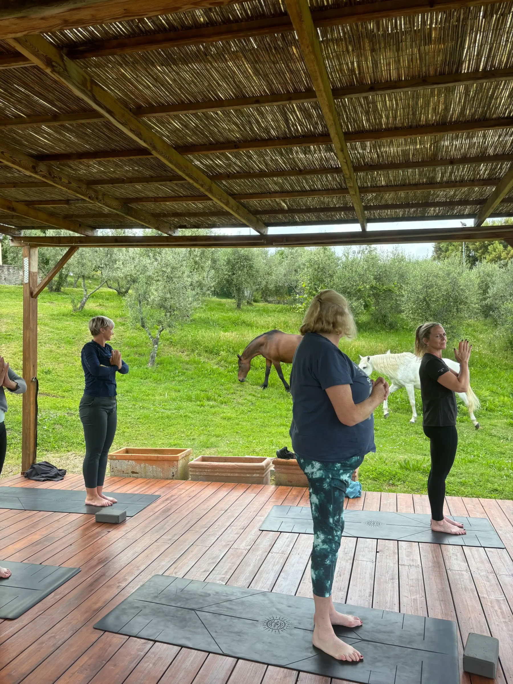 Yoga & fitness – (4 dagar/3 nätter)