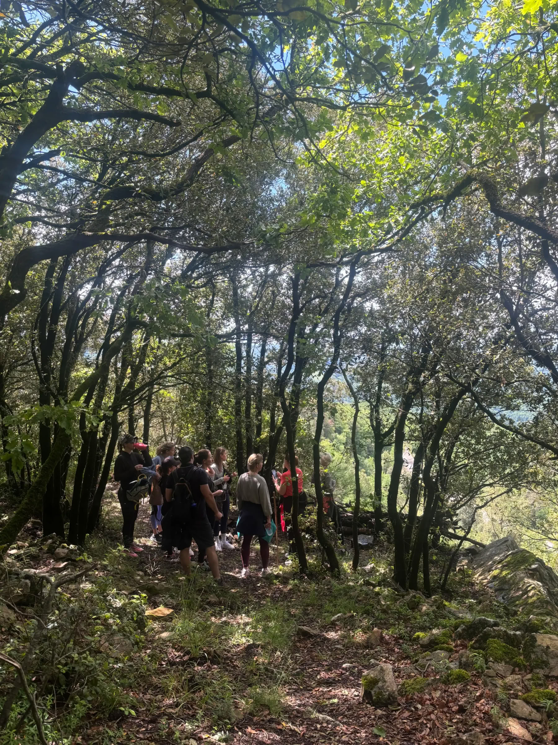 Yoga- och träningsretreat i Toscana