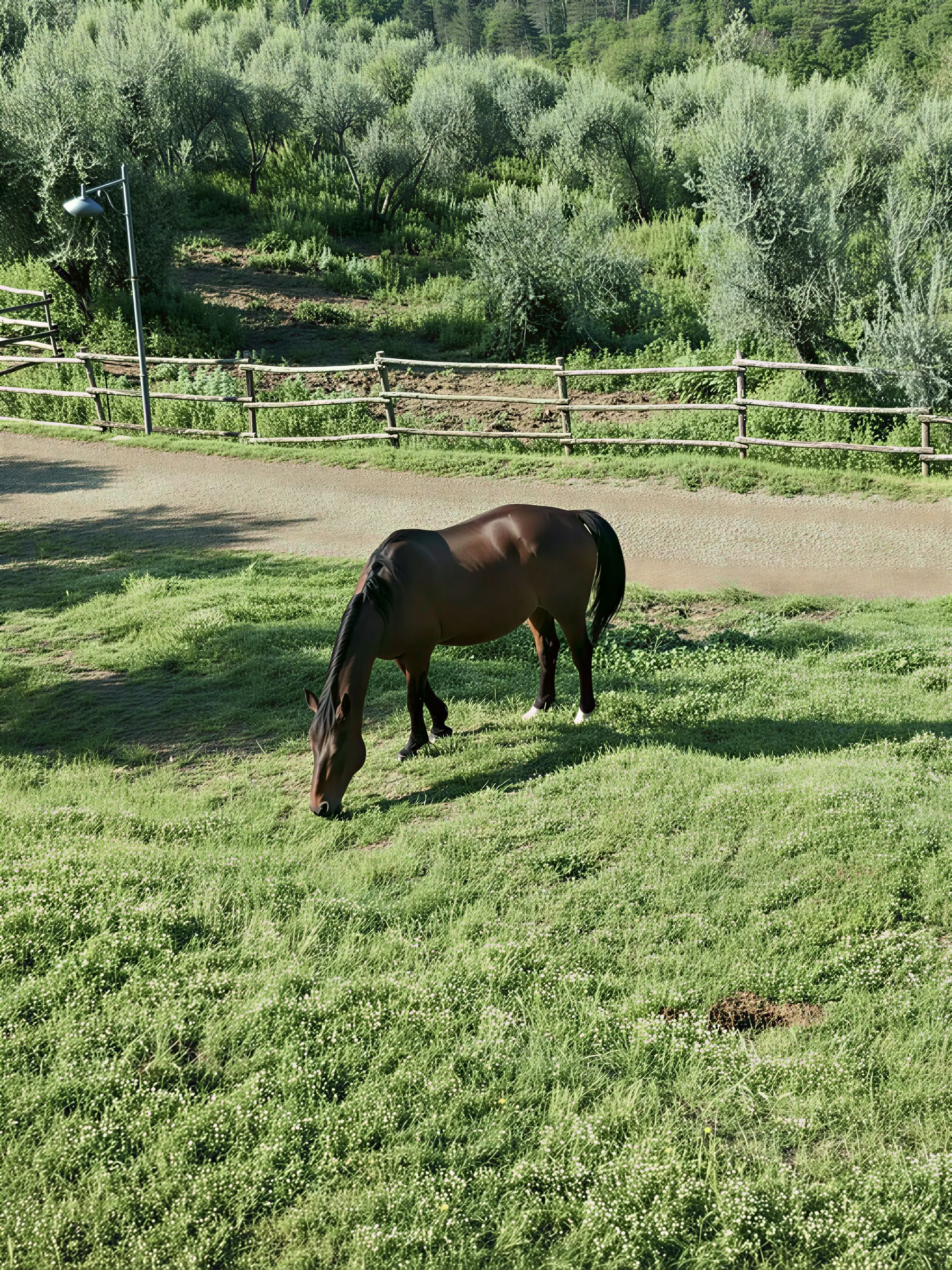 Yoga, vandring och ridning