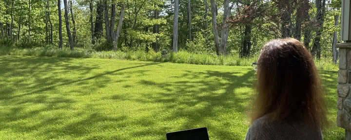 Skriv nu. En sommarretreat för författare