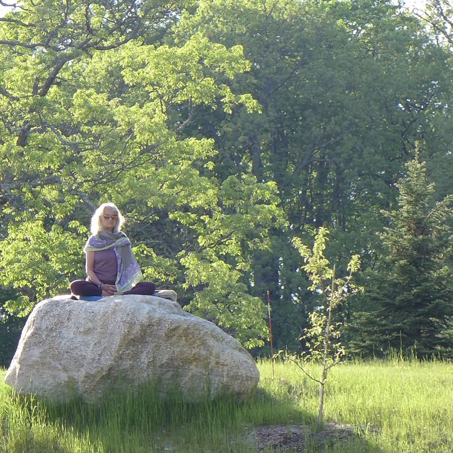 Ingenstans att gå, inget att göra: en buddhistisk tyst retreat