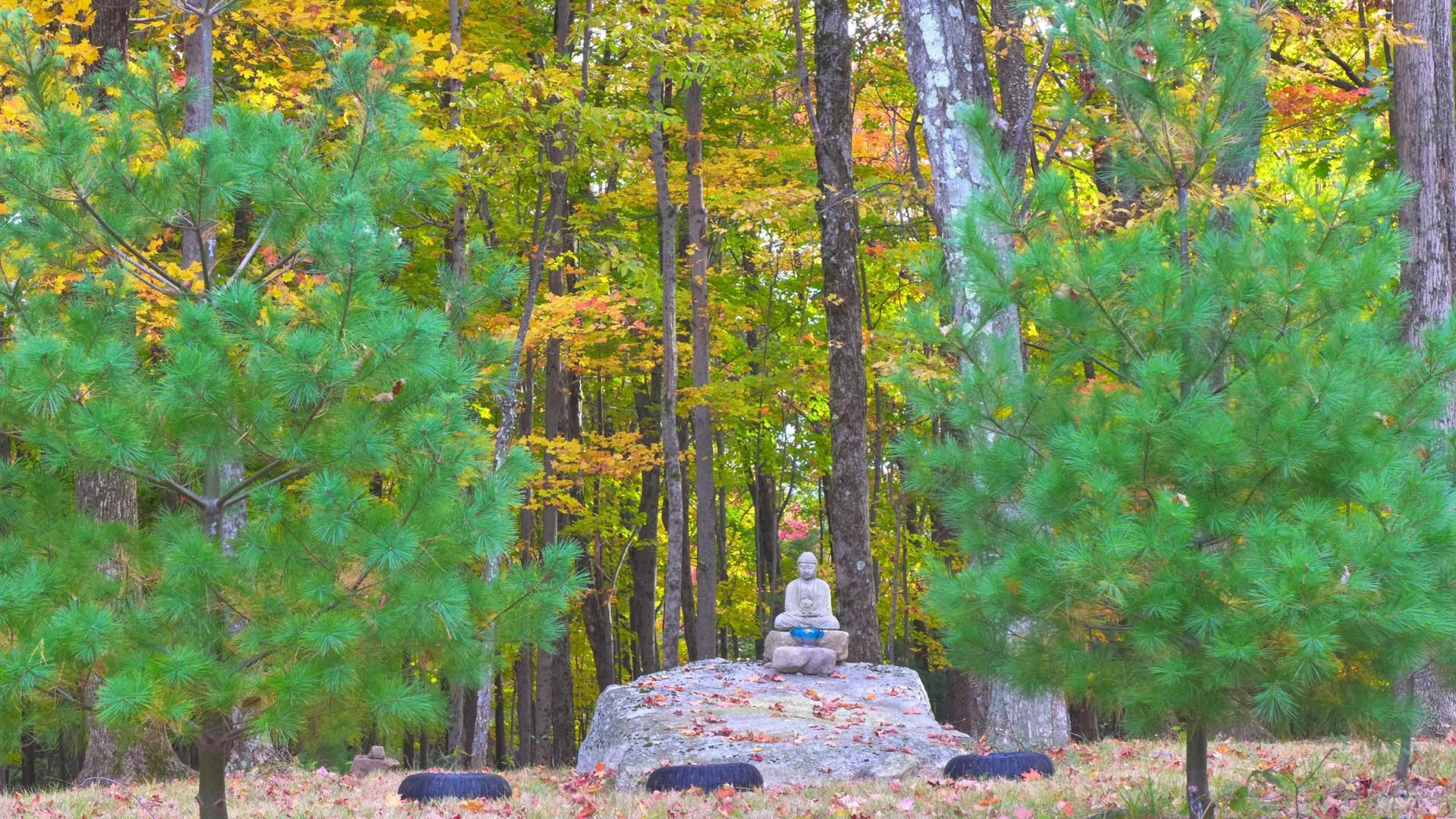 Triratna NY-NJ sangharetrit