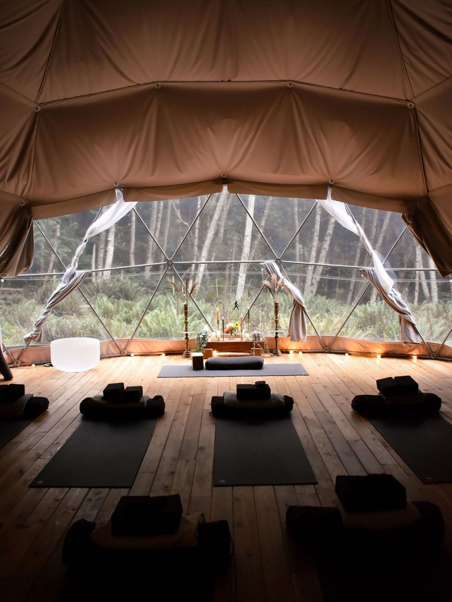 Evolve-retreat med Mikaela Millington på Bowen Island — Nectar Yoga