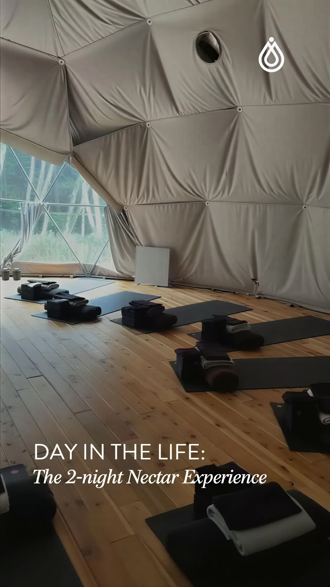 Rot + återvänd, en återhämtande praktik för att knyta an + återta | Nectar Yoga