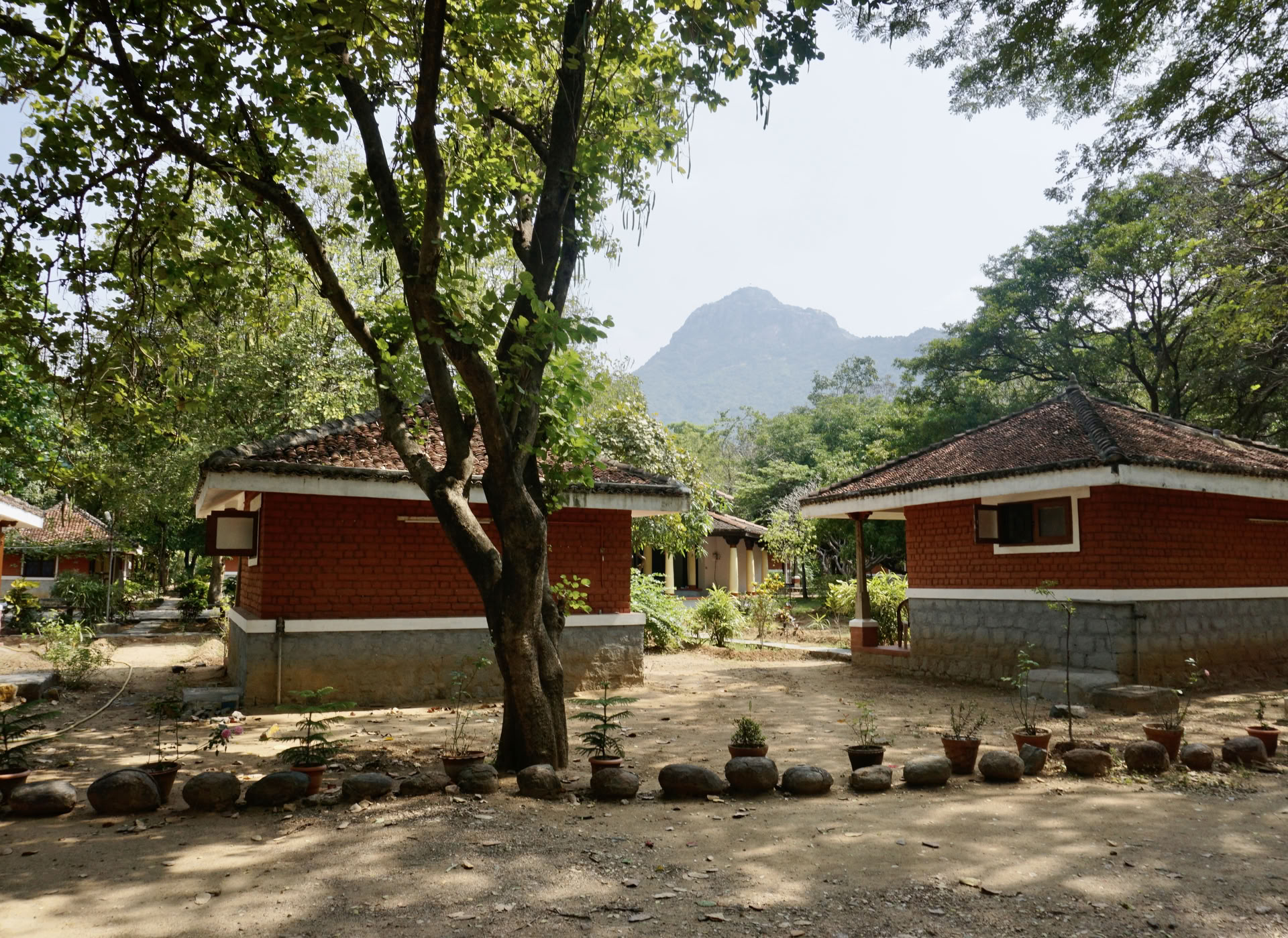 24 jan 21-dagars tyst meditationsdetox ashramretreat i Indien