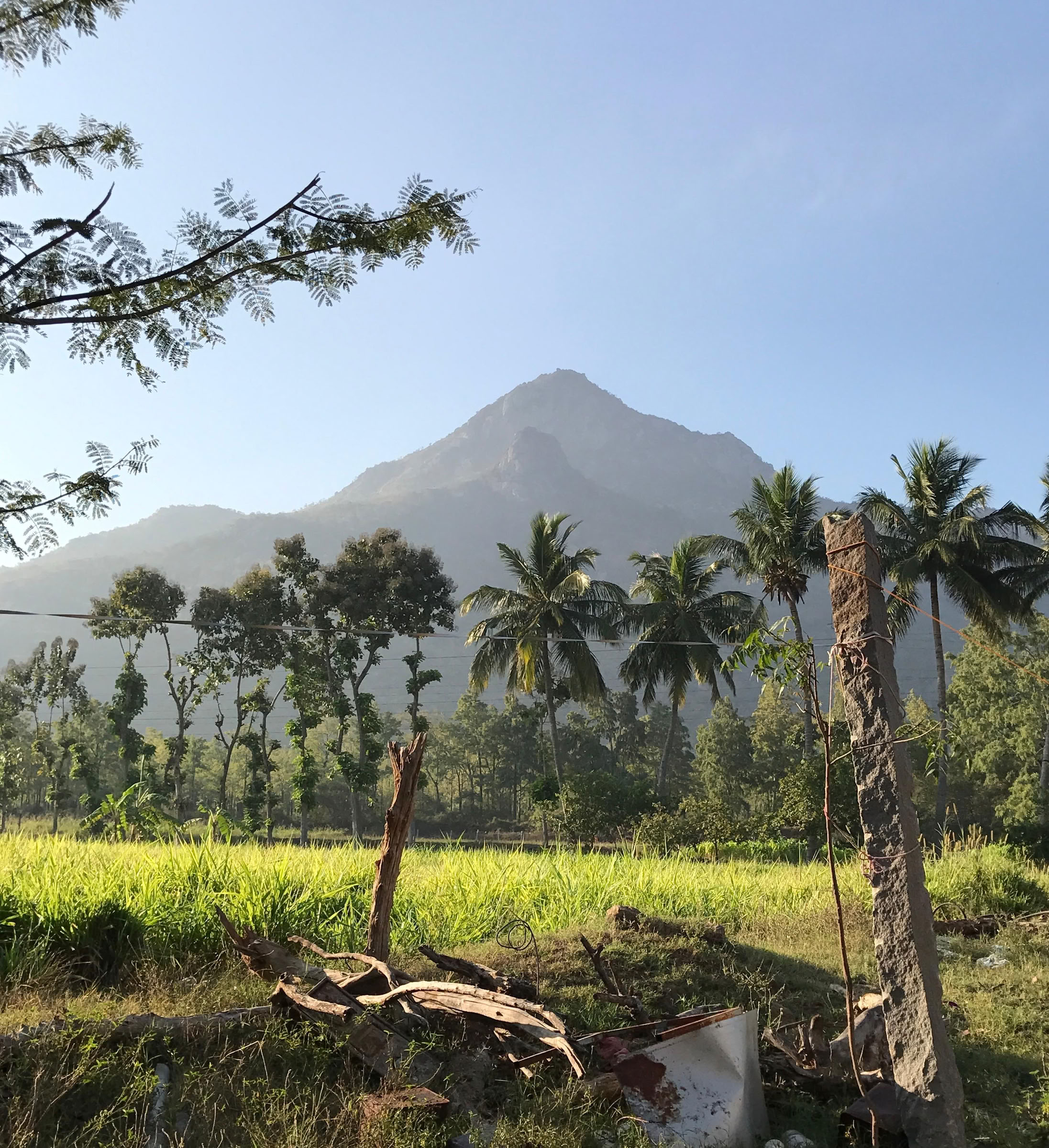 21-dagars tyst meditationsdetox-ashramretreat i Indien