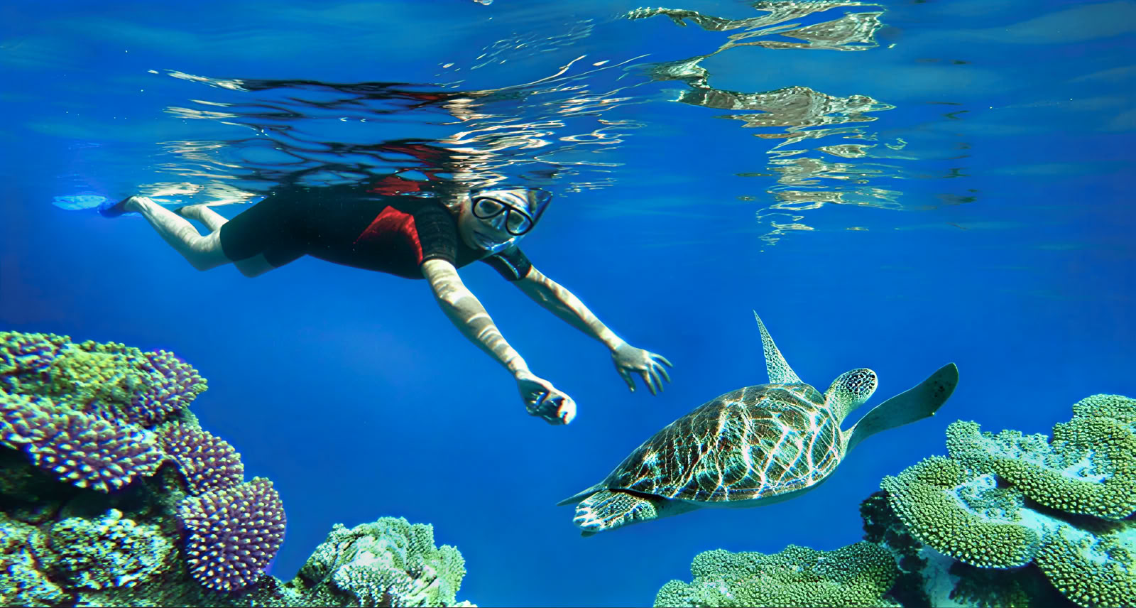 Snorklingtur till Menjangan Island