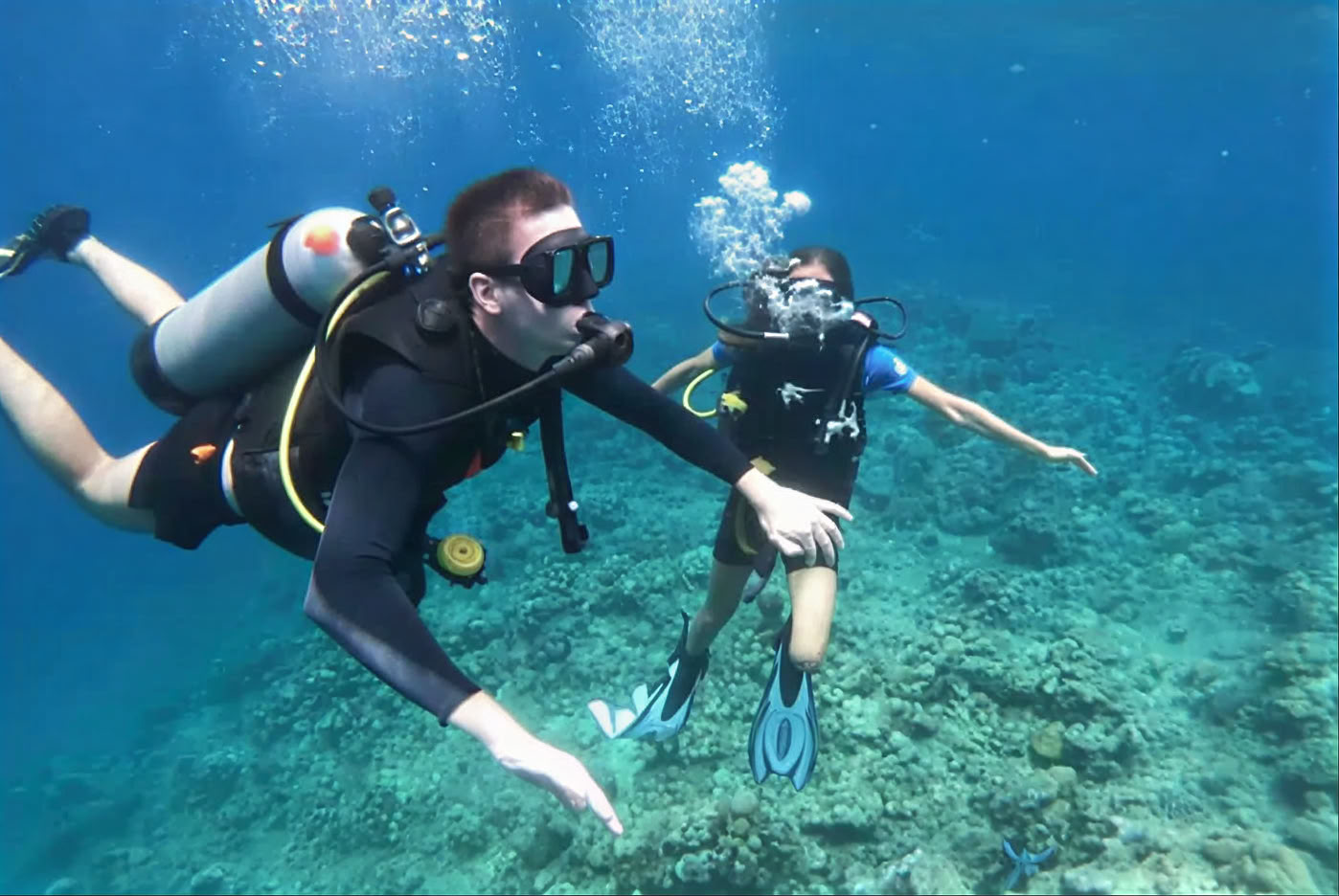 Dykning vid Menjangan Island
