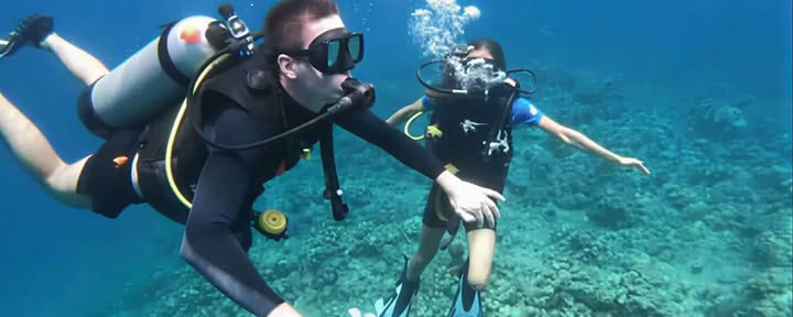Dykning vid Menjangan Island