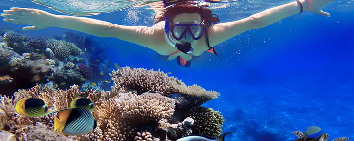 Reväventyr: Snorkling i Lovina