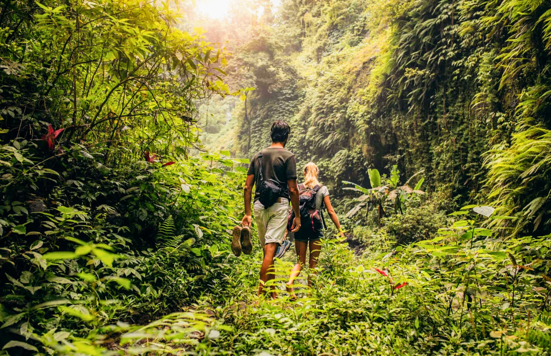 Zen-trekking och upptäckten av vattenfall