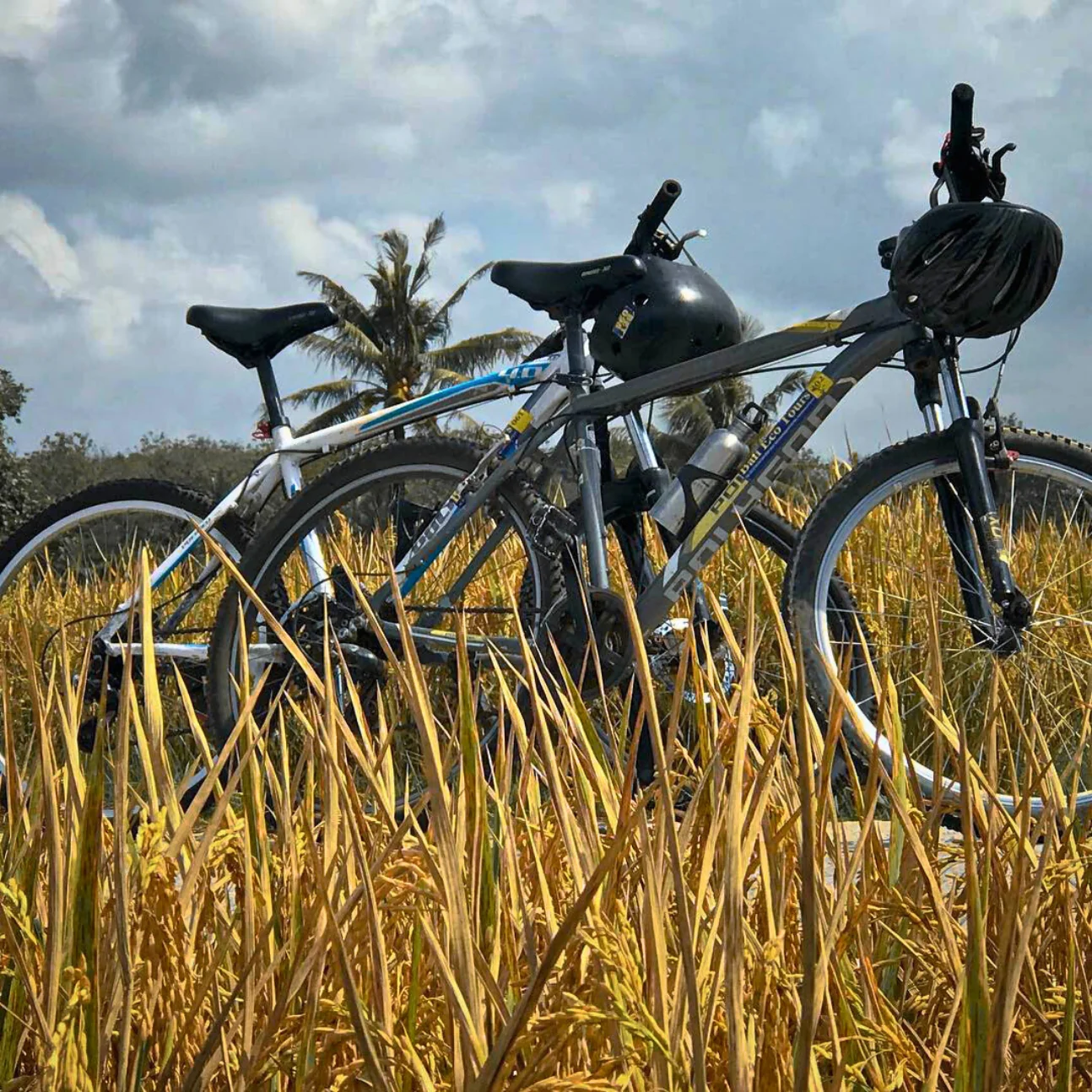 Kulturell cykelutflykt