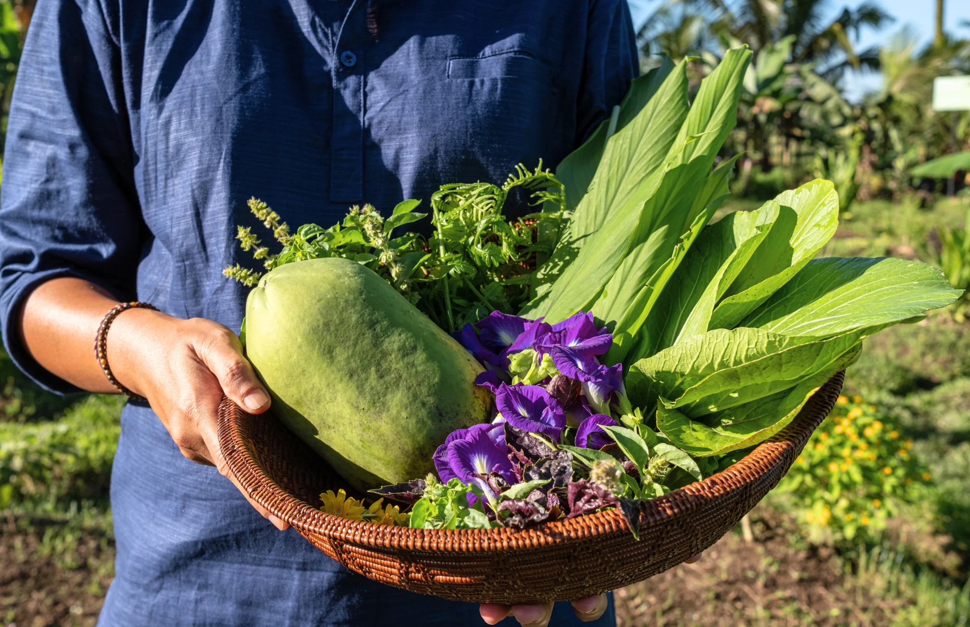 Gårds-till-bordet-upplevelse på Begawan Farm