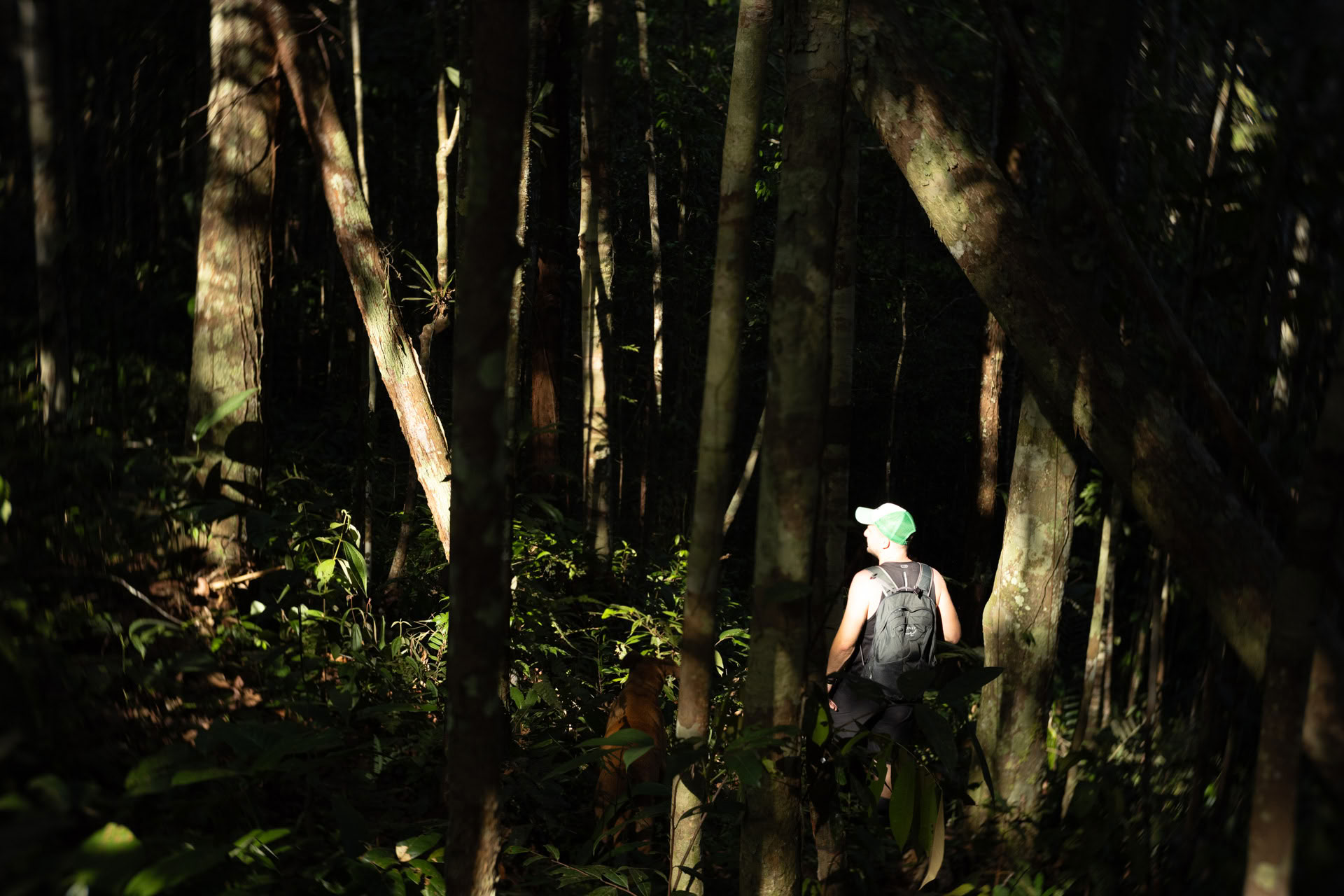 Öppet ayahuaskaretreat hos Psychonauta Tribe