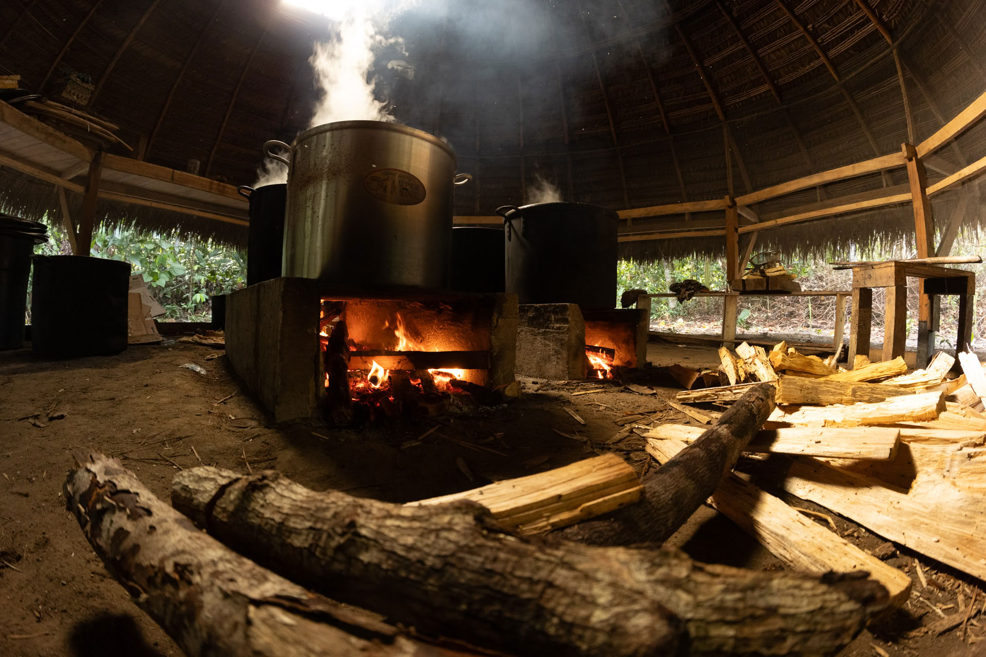 Öppet ayahuaskaretreat hos Psychonauta Tribe