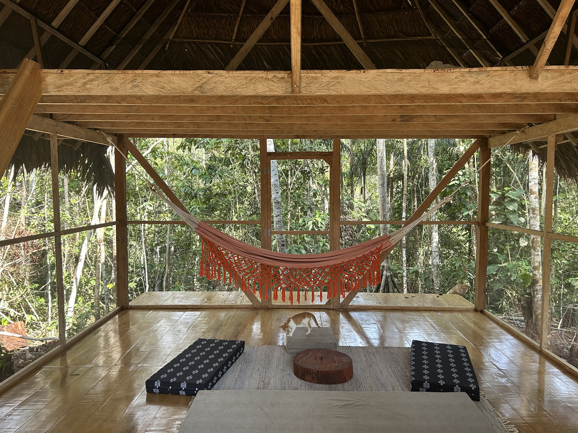 Öppet ayahuaskaretreat hos Psychonauta Tribe