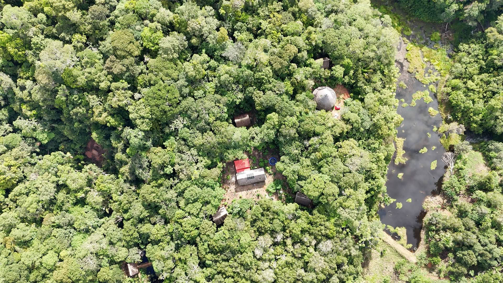 Öppet ayahuaskaretreat hos Psychonauta Tribe