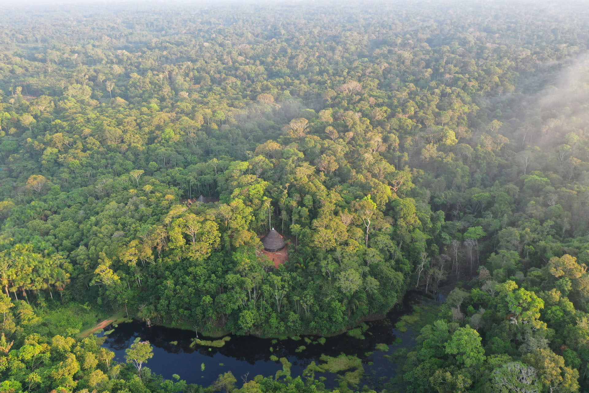 Öppen ayahuasca-retreat