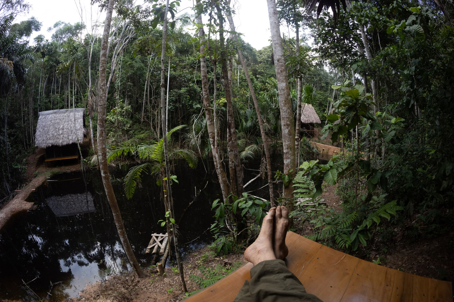 Öppen ayahuasca-retreat