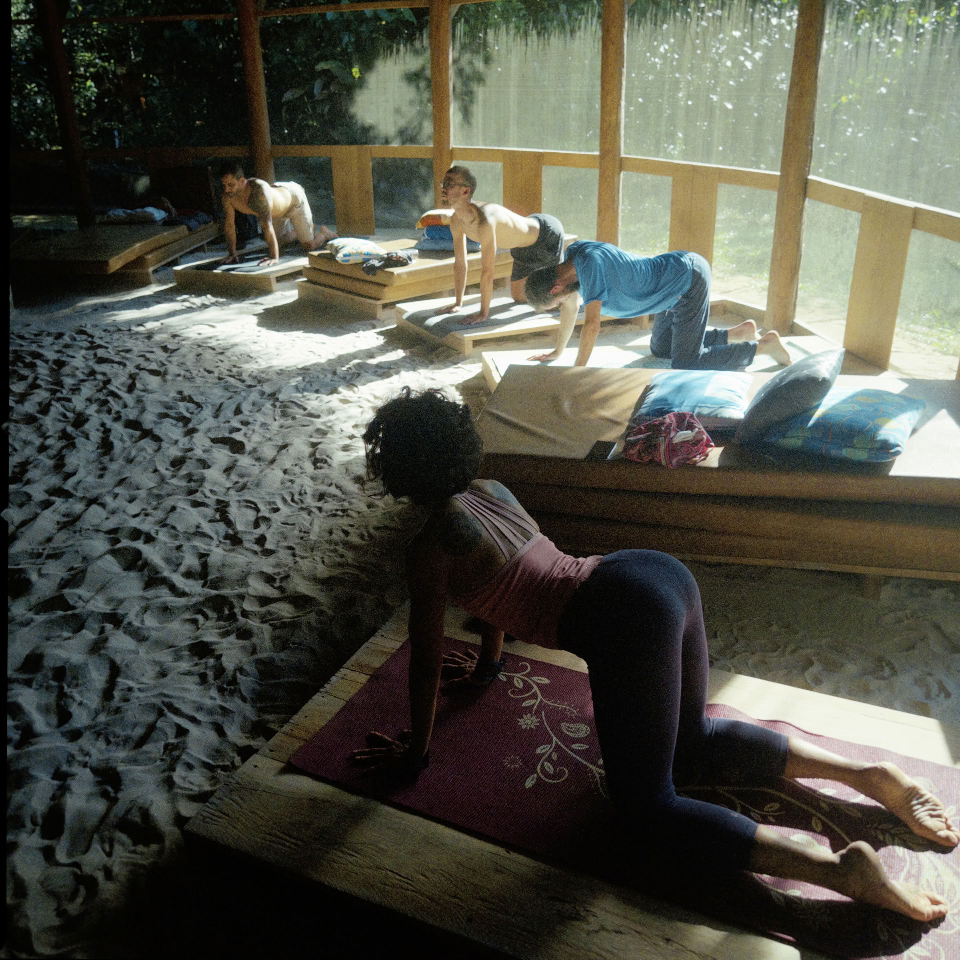 Öppen ayahuasca-retreat