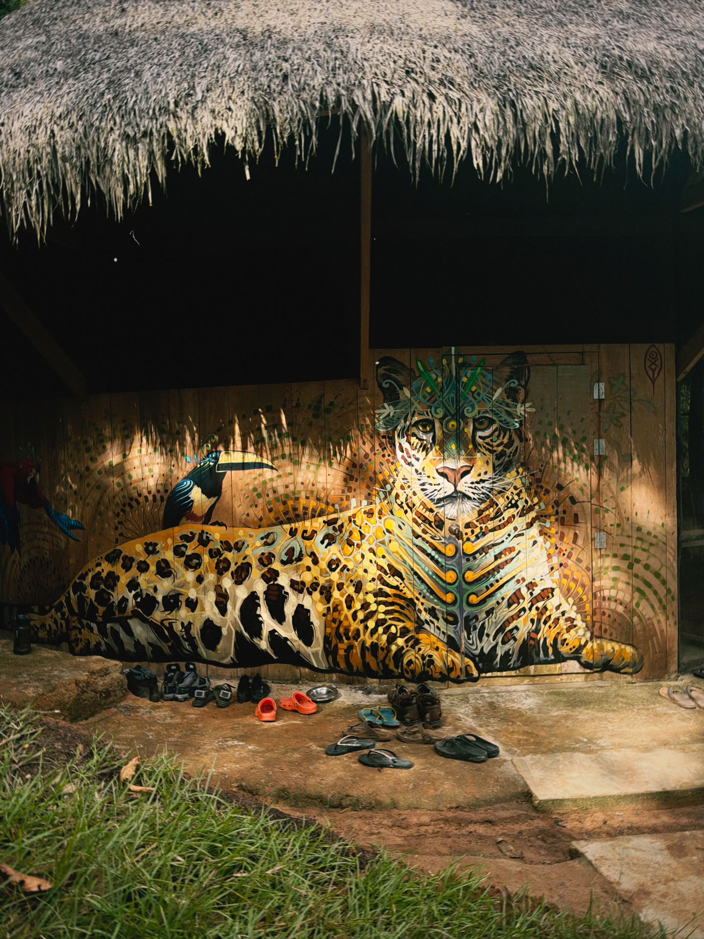 Öppen ayahuasca-retreat