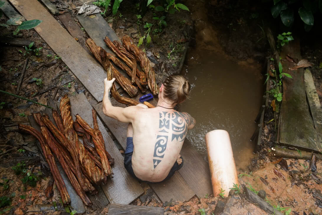 Ayahuasca-retreat och mästerväxtdieta i Peru
