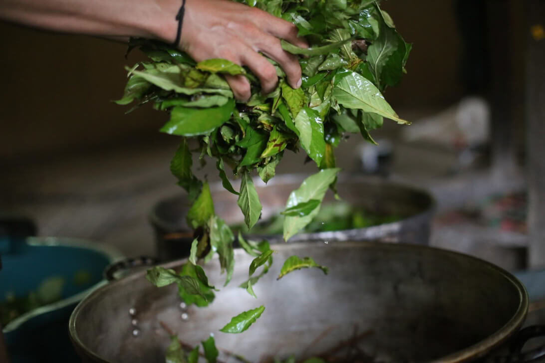 Ayahuasca-retreat och mästerväxtdieta i Peru