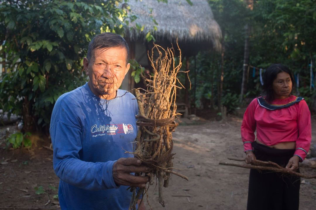 Ayahuasca-retreat och mästerväxtdieta i Peru
