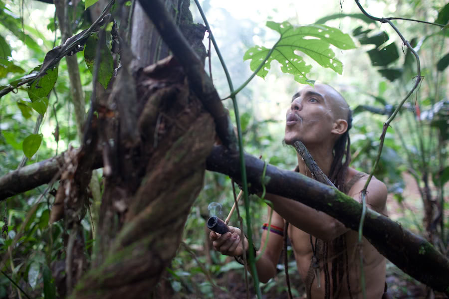 Ayahuasca-retreat och mästerväxtdieta i Peru