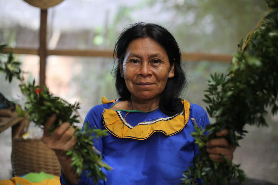 Ayahuasca-retreat och mästerväxtdieta i Peru