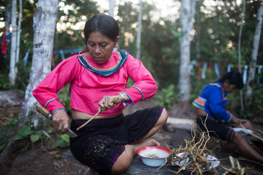 Ayahuasca-retreat och mästerväxtdieta i Peru