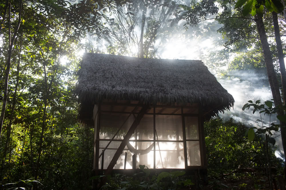 Ayahuasca-retreat och mästerväxtdieta i Peru