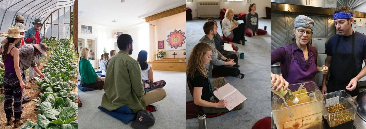 Levande yogautbildning (LYT) – 16 nov–13 dec