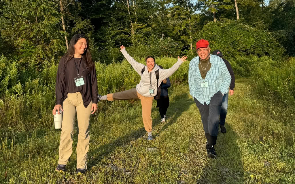 Romaner på vers: en generativ retreat