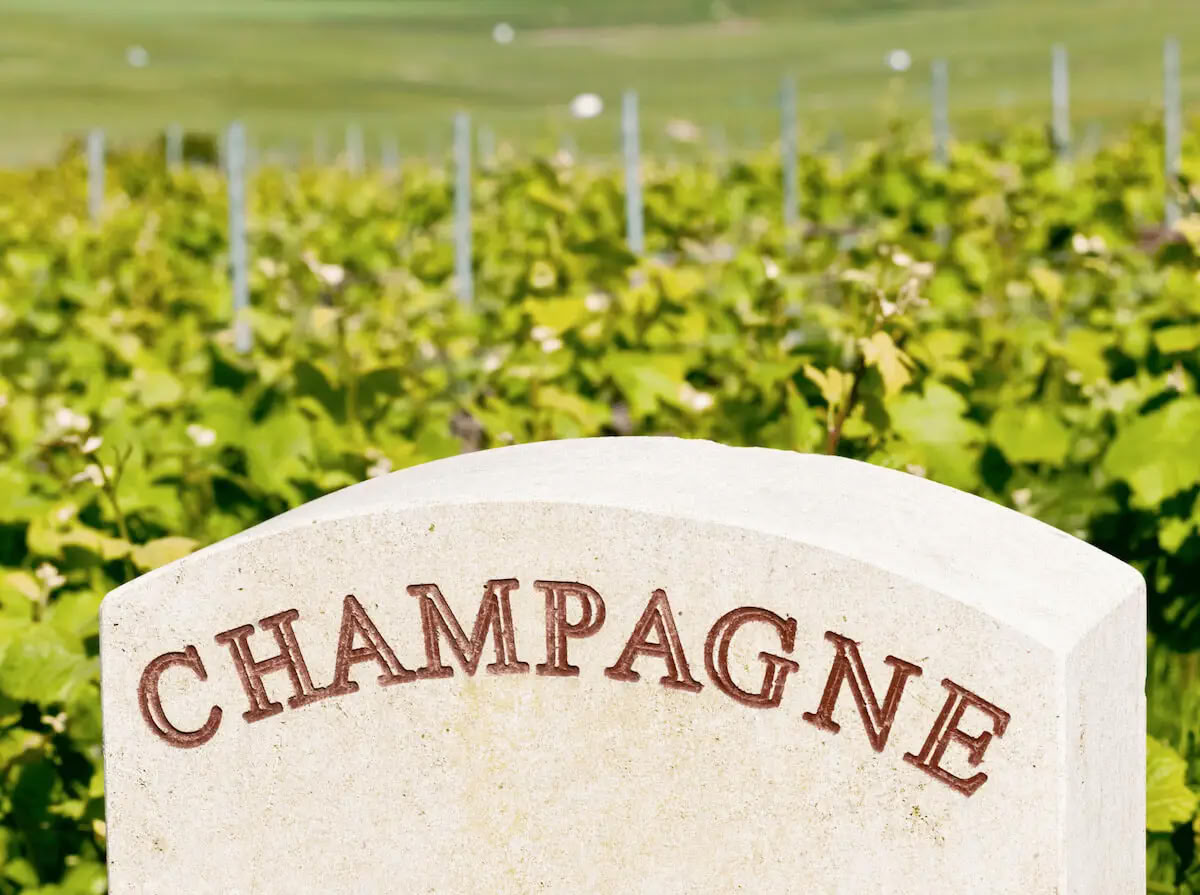 Champagne & Själ: Kvinnors yoga + champagne-retreat (Reims, Frankrike)