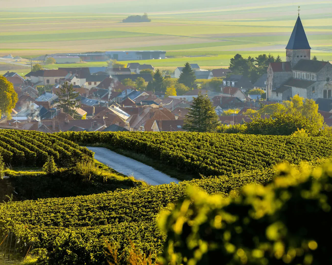 Champagne & Själ: Kvinnors yoga + champagne-retreat (Reims, Frankrike)
