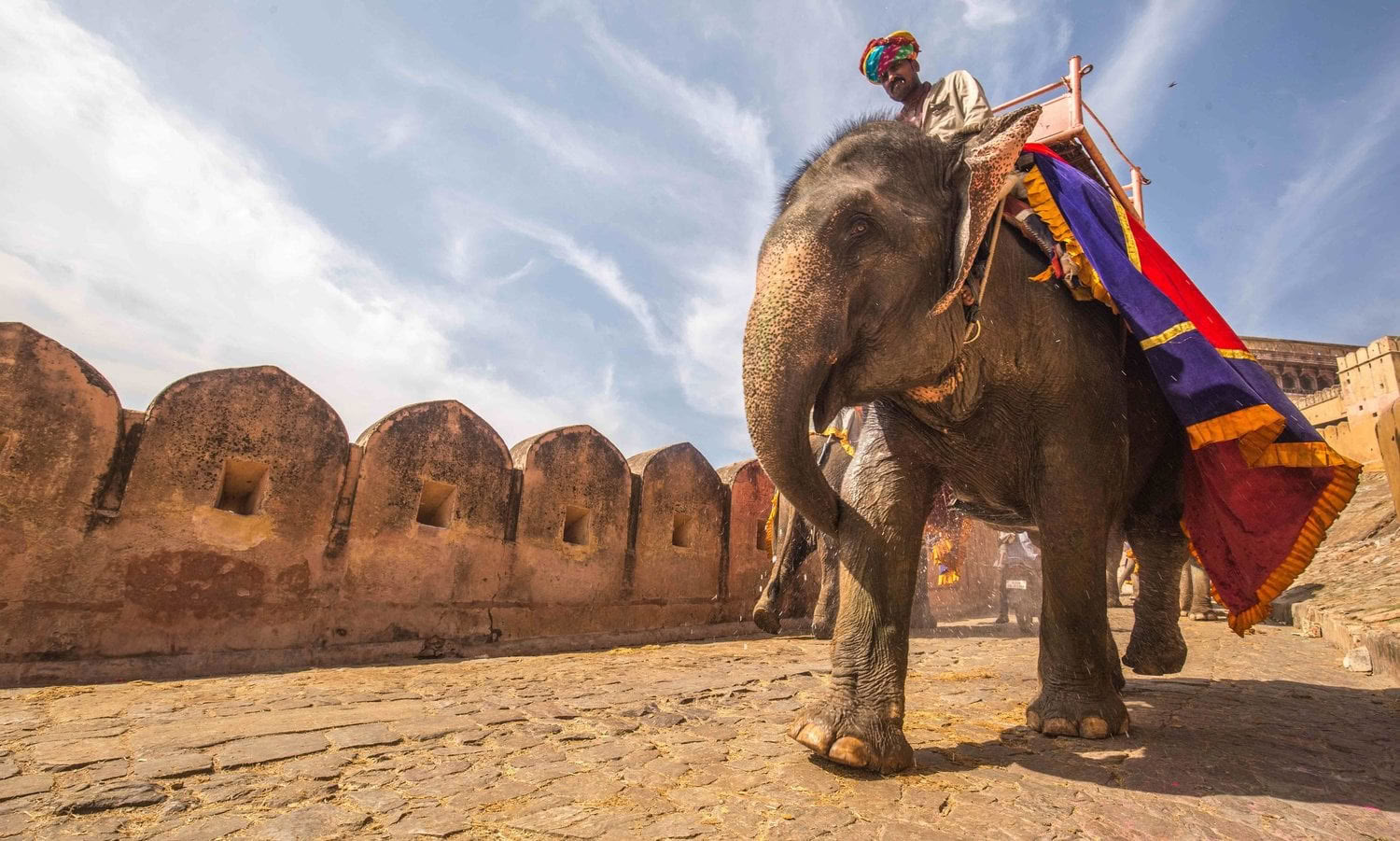 Spirit of the Himalayas"-turné + Holi-festival i Indien