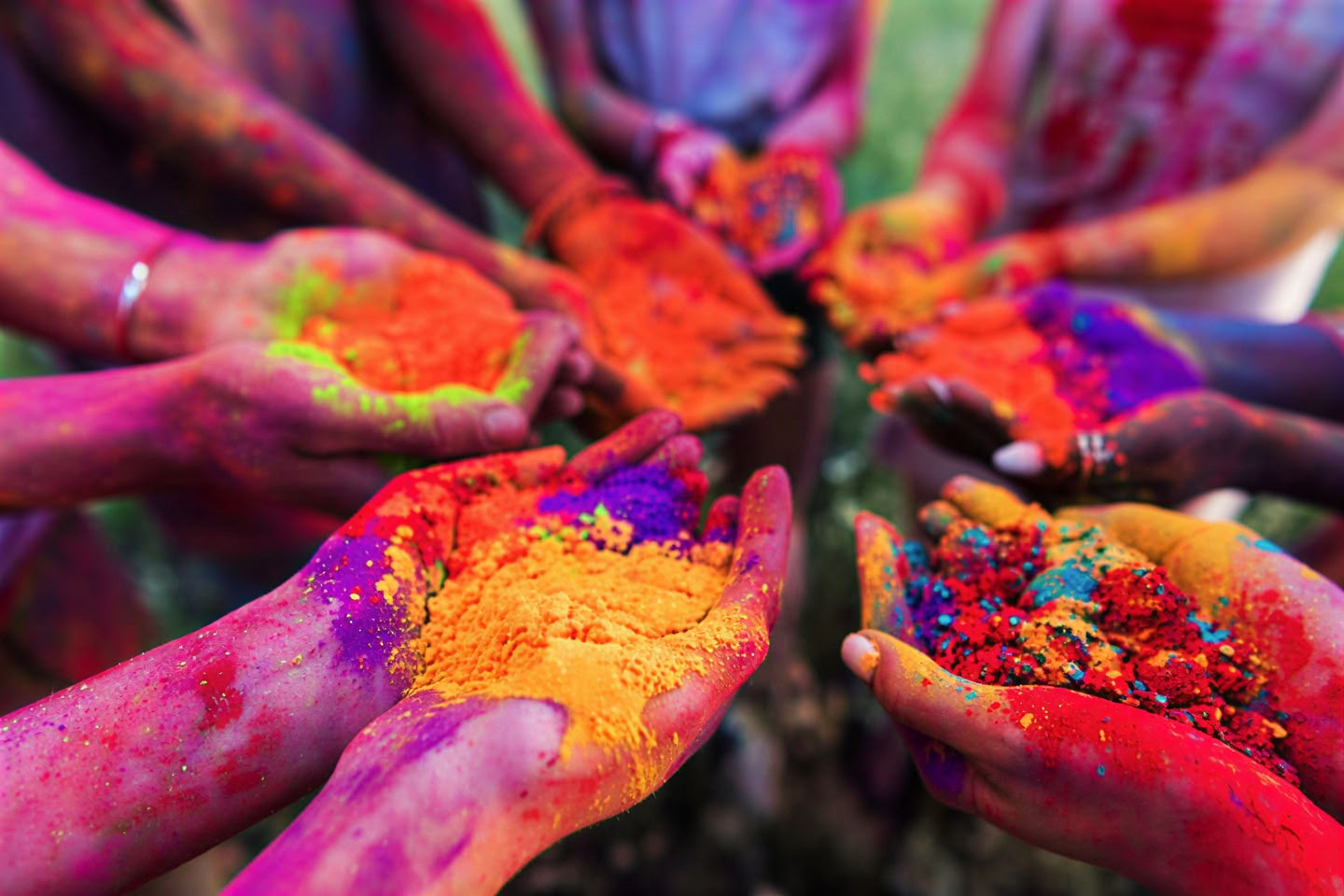 Spirit of the Himalayas"-turné + Holi-festival i Indien