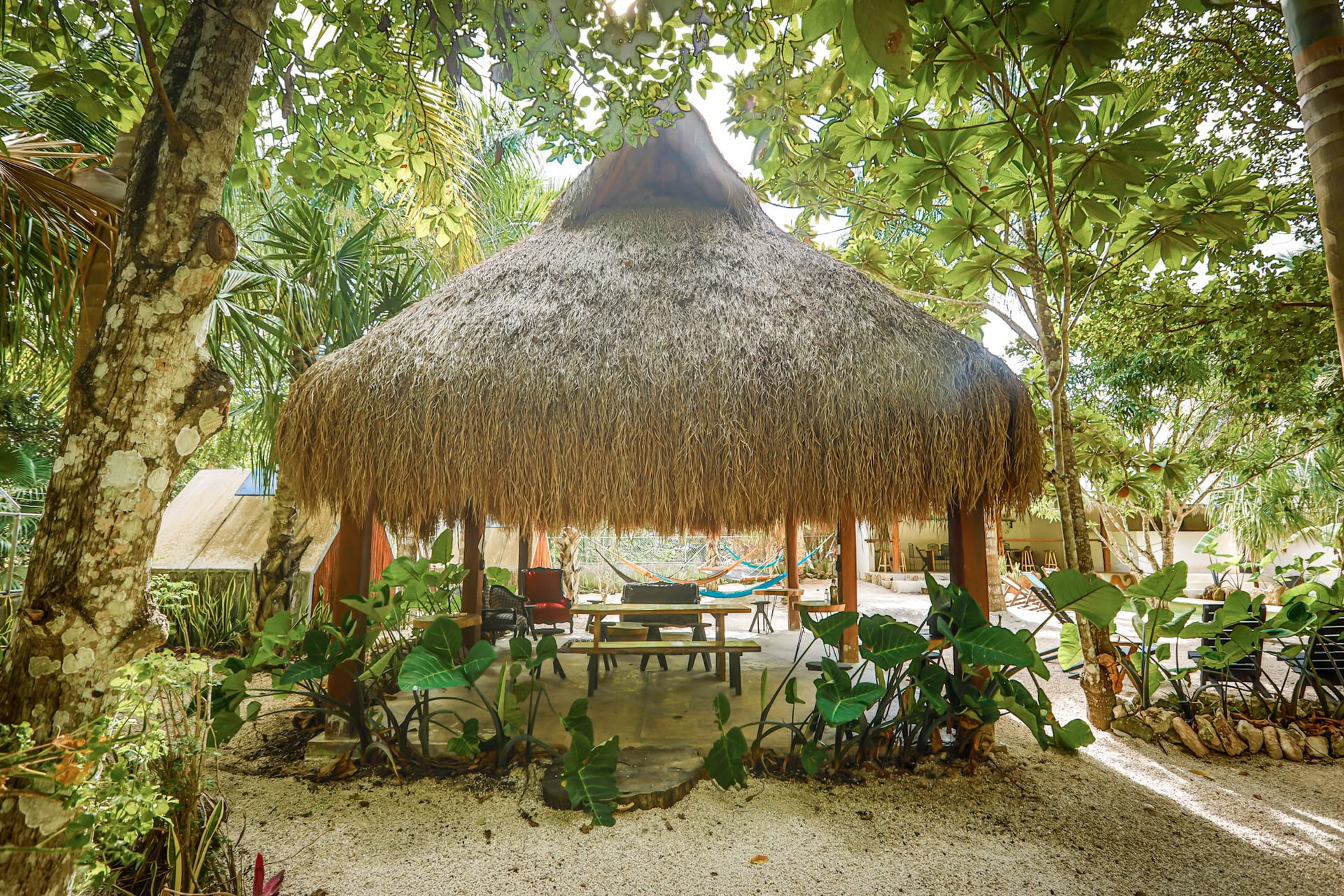Bufo Lagoon-paket (2 nätter, Bacalar)