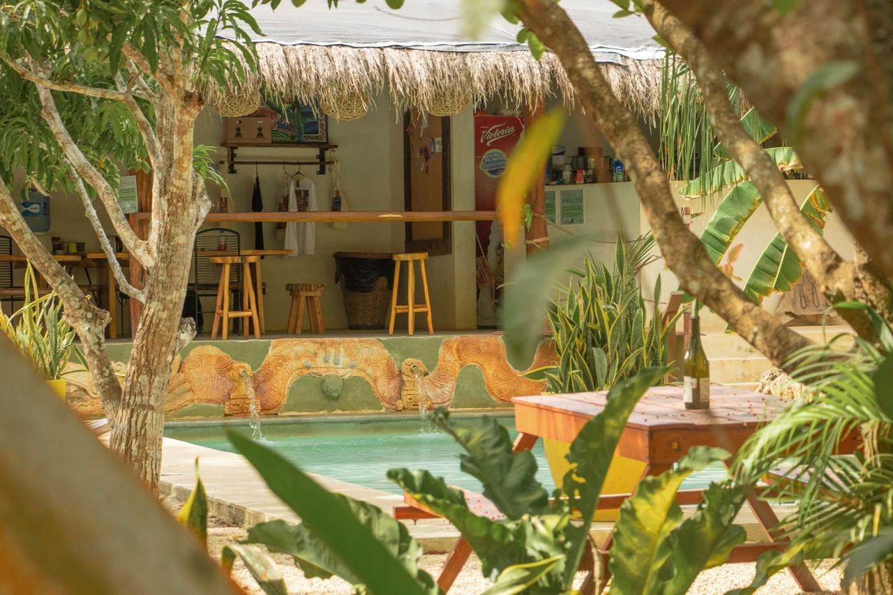 Bufo Lagoon-paket (2 nätter, Bacalar)