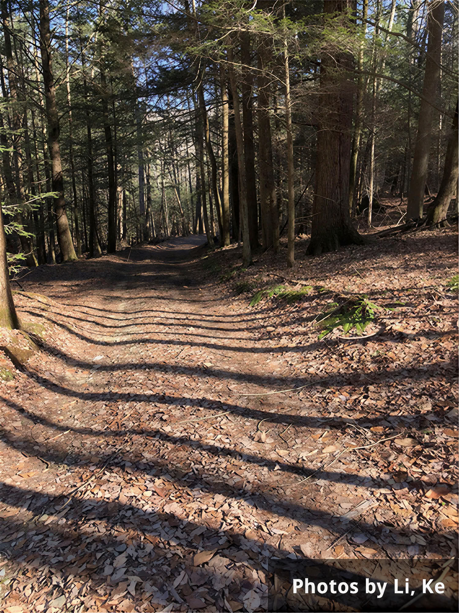 Läk helarna – vinterläkningsretreat