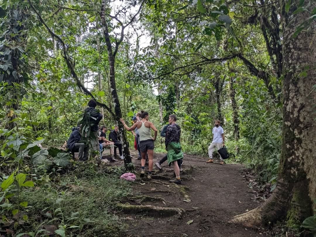 3-dagars San Pedro- och ayahuasca-retreat