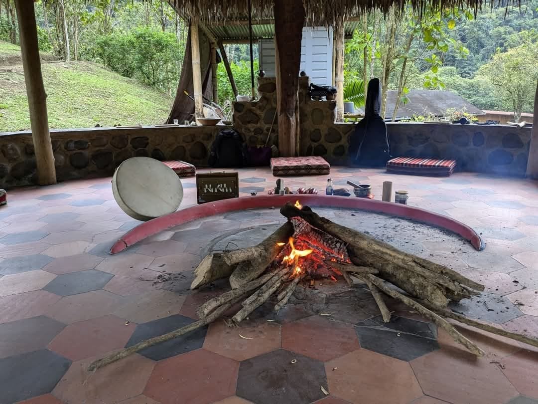 Ayahuasca-dagsceremoni på Hayulima naturreservat