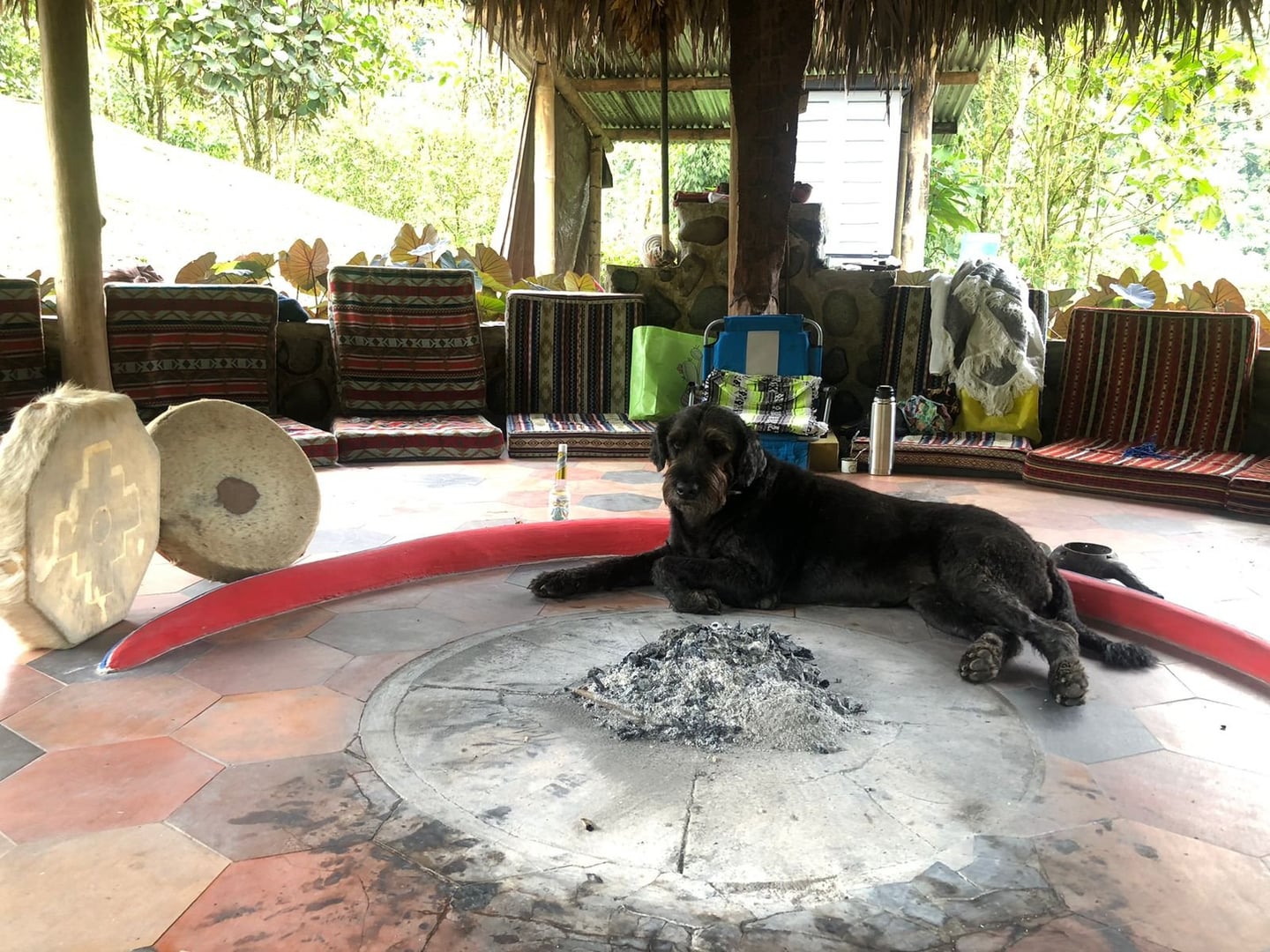 Ayahuasca-dagsceremoni på Hayulima naturreservat
