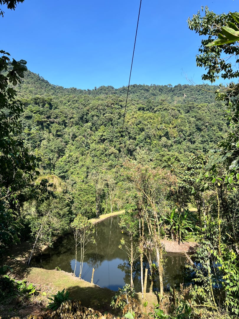 San Pedro-temazkalceremoni på Hayulima naturreservat