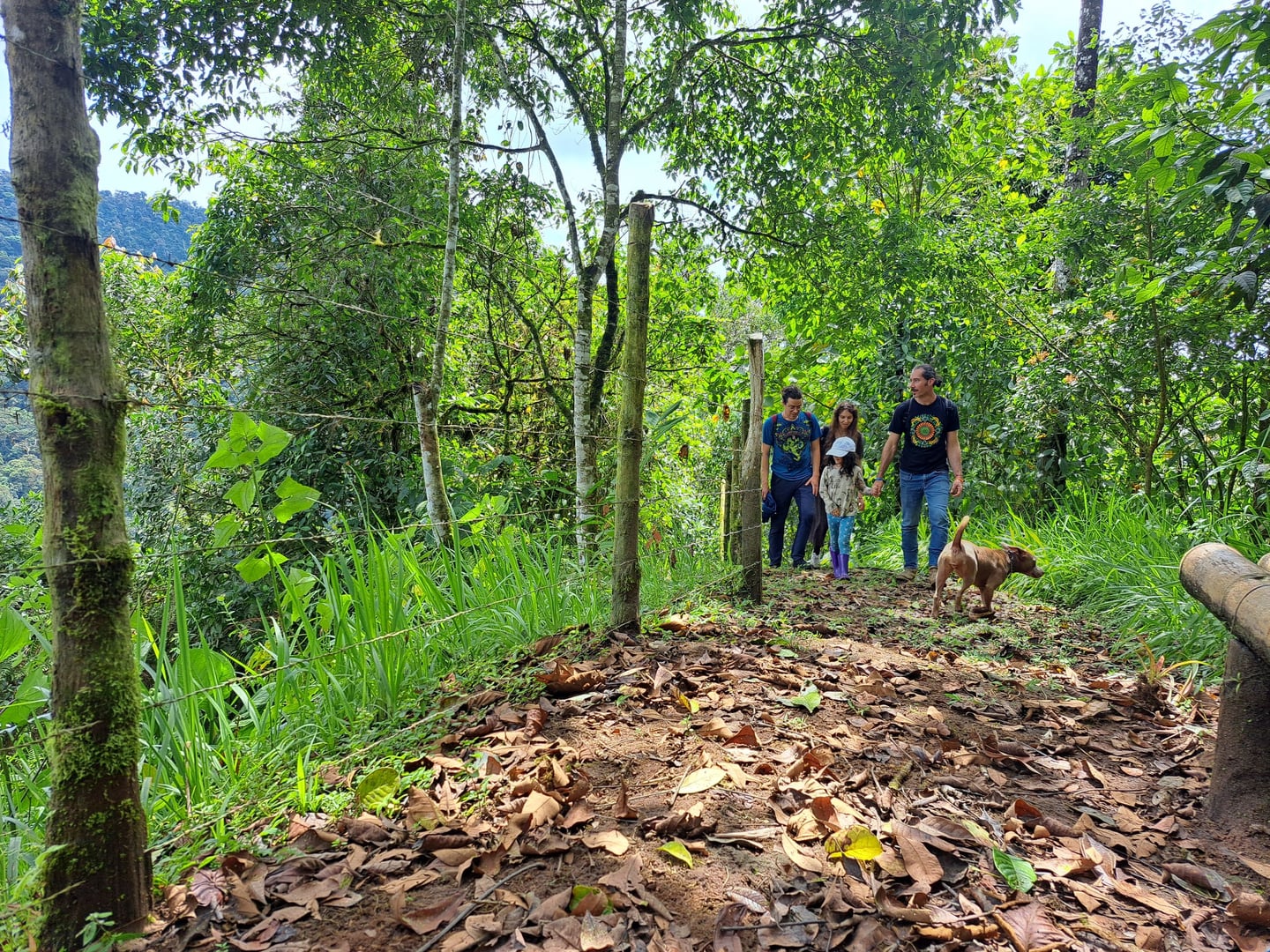 10 dagars retreat i Hayulima naturreservat