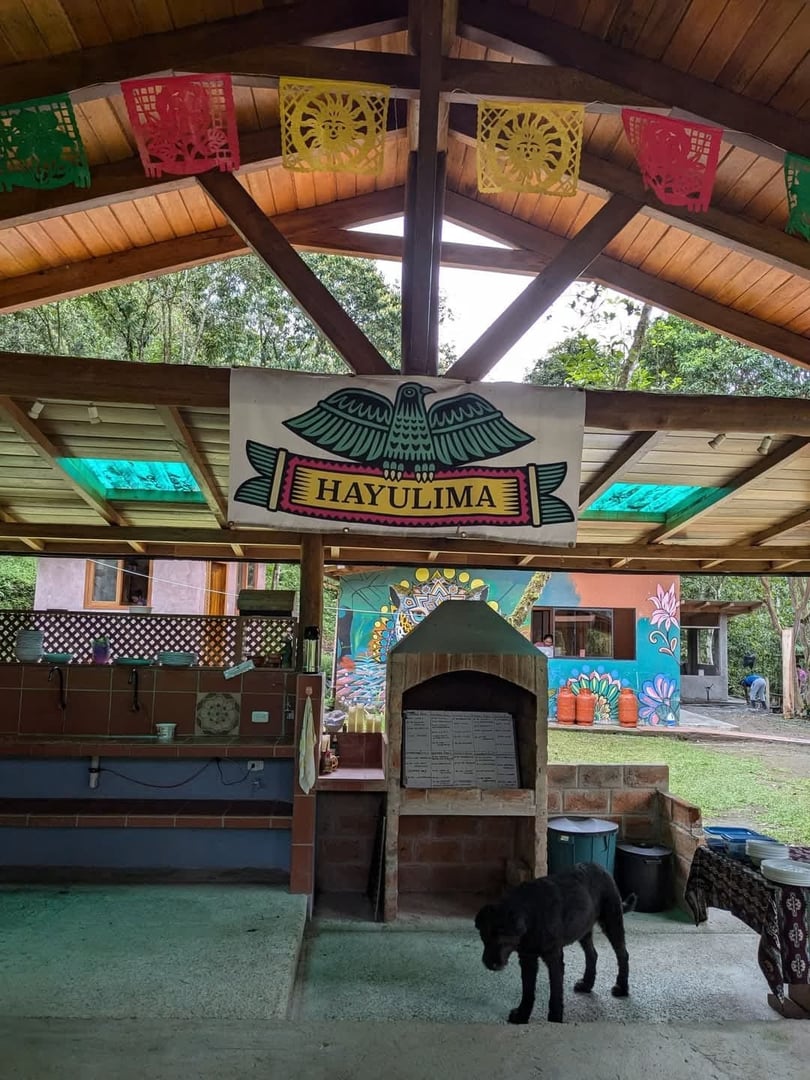 3-dagars – San Pedro och ayahuasca – helgresa