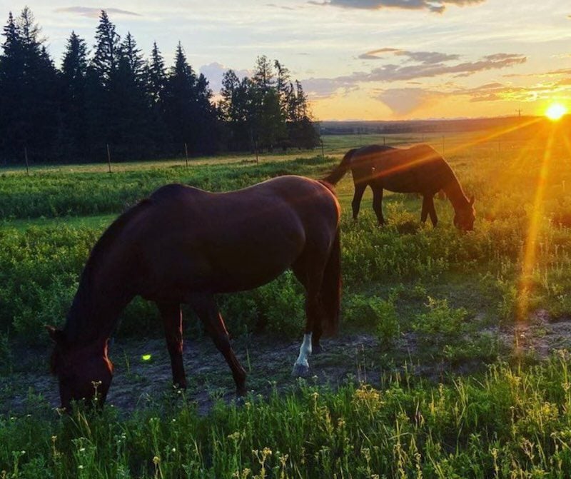 Tre månaders intensivt karma yoga-program – huvudintag